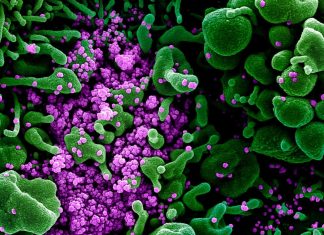 PM announces new measures to curb COVID-19