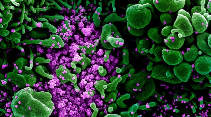 PM announces new measures to curb COVID-19