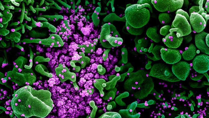 PM-announces-new-measures-curb-COVID-19-feature