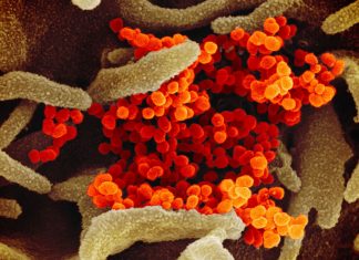 PSA’s up-to-date COVID-19 advice for pharmacists