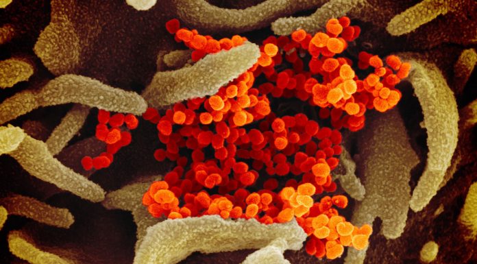 PSA’s up-to-date COVID-19 advice for pharmacists