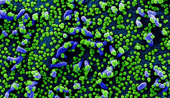 covid-19-update-feature