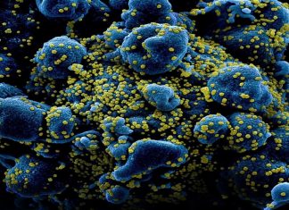 COVID-19: How should pharmacists play a role? COVID-19