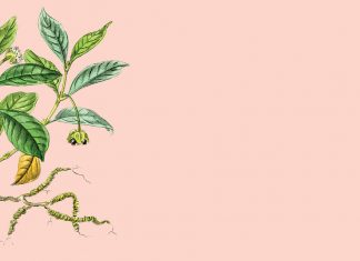 Syrup of ipecac … a nauseating story Syrup of ipecac