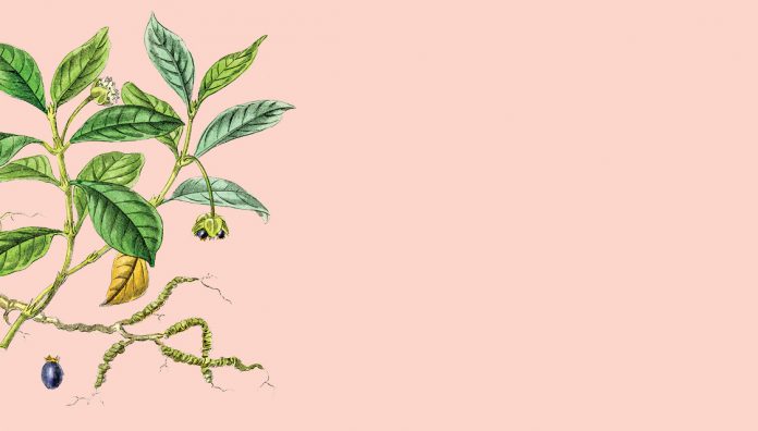 82-84_EarlyElixr Syrup of ipecac