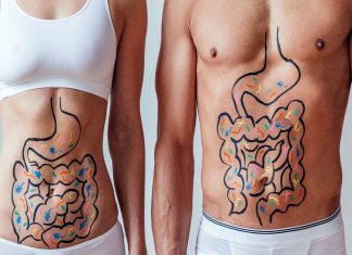 Gut fermentation of dietary fibres: implications for health