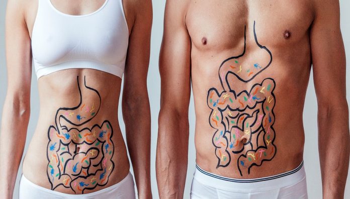 Gut_M&W22-(1)-feature