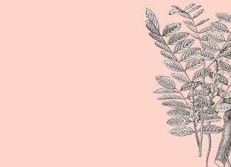 Liquorice: from sweet treat to modern treatment Liquorice