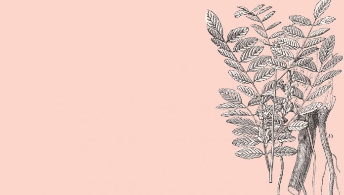 82-84_PSA26_elixir Liquorice