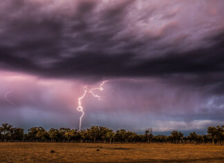 Thunderstorm asthma alert