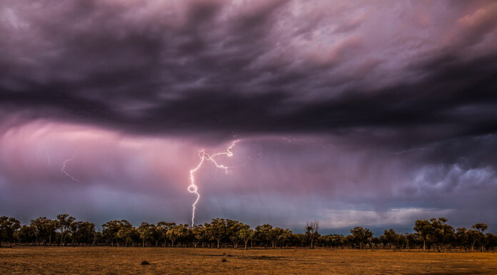 Thunderstorm asthma alert