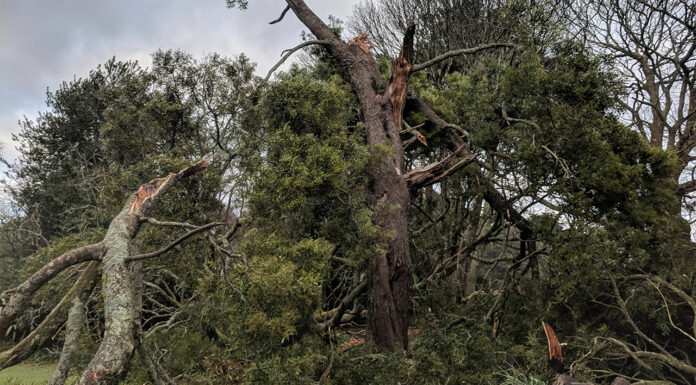 Pharmacists go above and beyond as Victorian storm leads to weeks without power Thousands of residents continue to be left without electricity or running water after a Victorian storm.