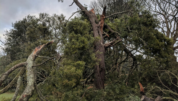 vic-storm-feature Thousands of residents continue to be left without electricity or running water after a Victorian storm.