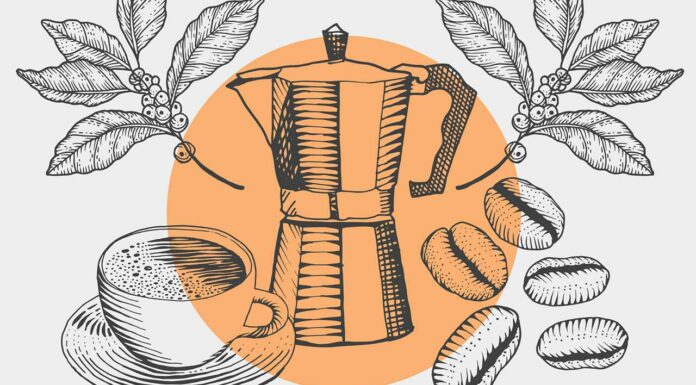 Early elixir: Caffeine, the most widely used psychoactive drug in the world