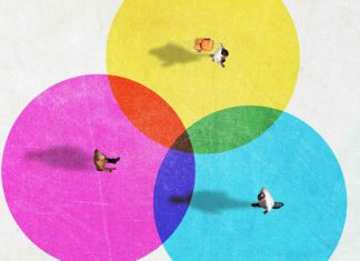 From the President: New membership options made for you, by you