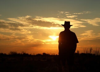 Healthcare use in disadvantaged groups