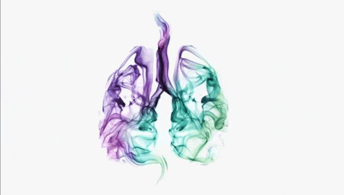 Lungs1280x728_v2