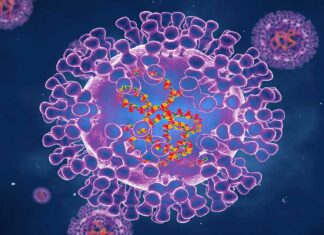 Vaccination advice for monkeypox and Japanese encephalitis