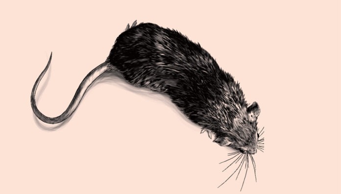 june-2022-early-elixir-feature