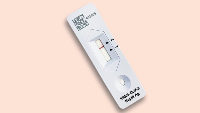 q-and-a-rats-feature