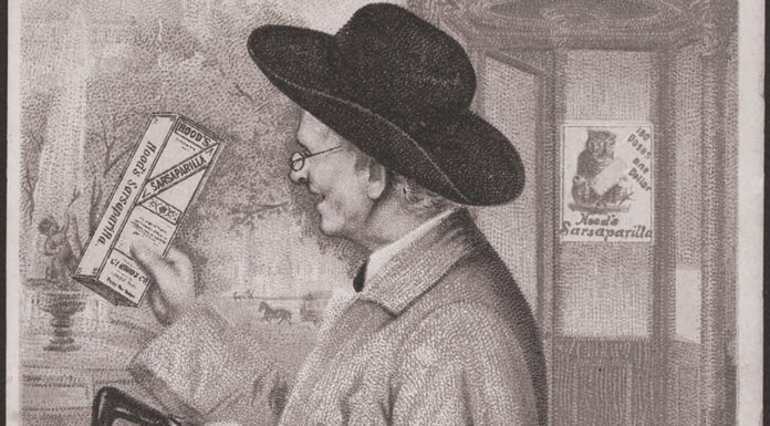 Sarsaparilla: show but limited go Sarsparilla