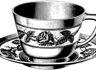 Sarsaparilla: show but limited go