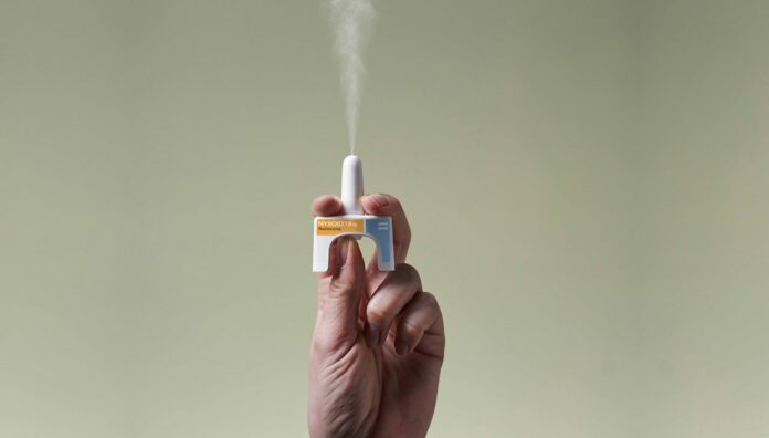 nyxoid-and-hand_cropped-2