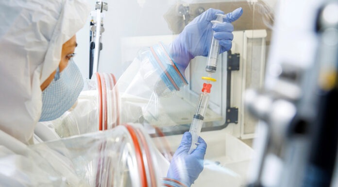 Government pulls the plug on replica Ozempic ozempic