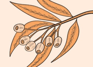 Forget sheep, wheat & gold