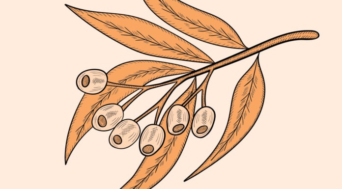 Forget sheep, wheat & gold