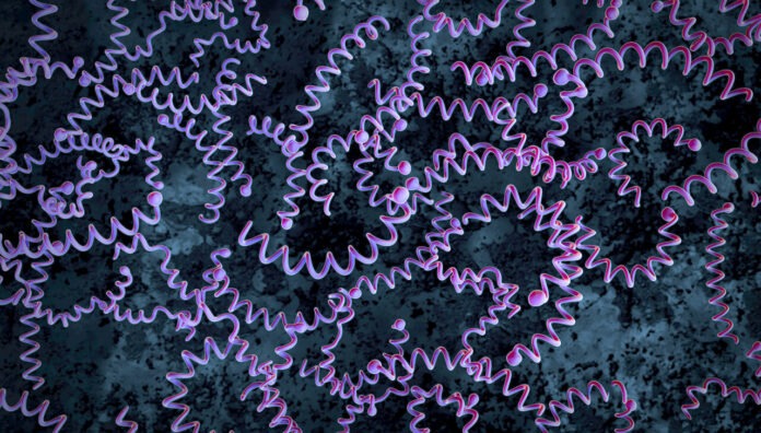 GettyImages-1279332473_syphilis 2 syphilis