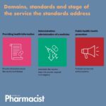 5. Domains, standards and stage of the service the standards address-2